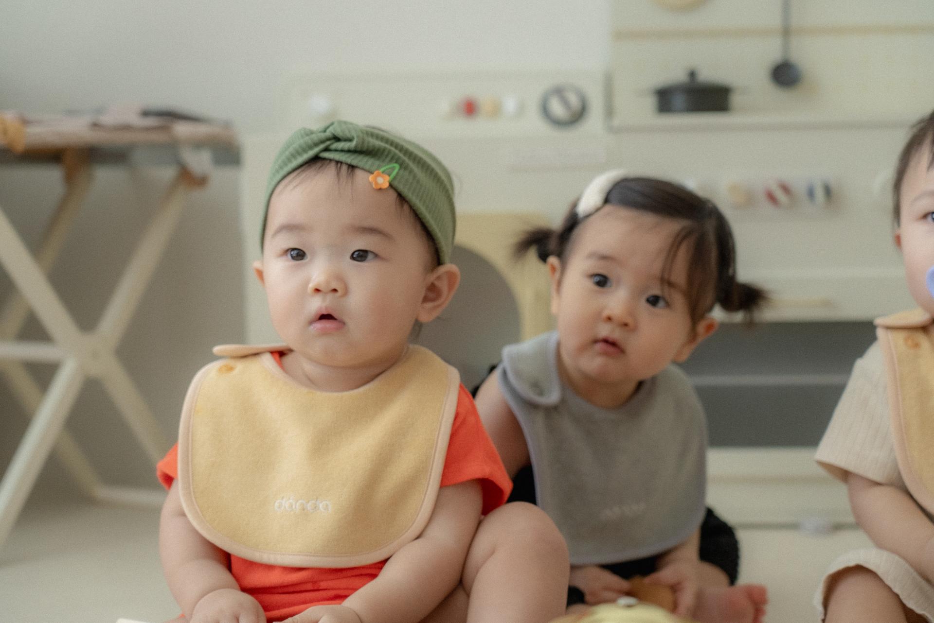 dánda terry bib 5 colors set (단다빕 단다 테리빕 5종)