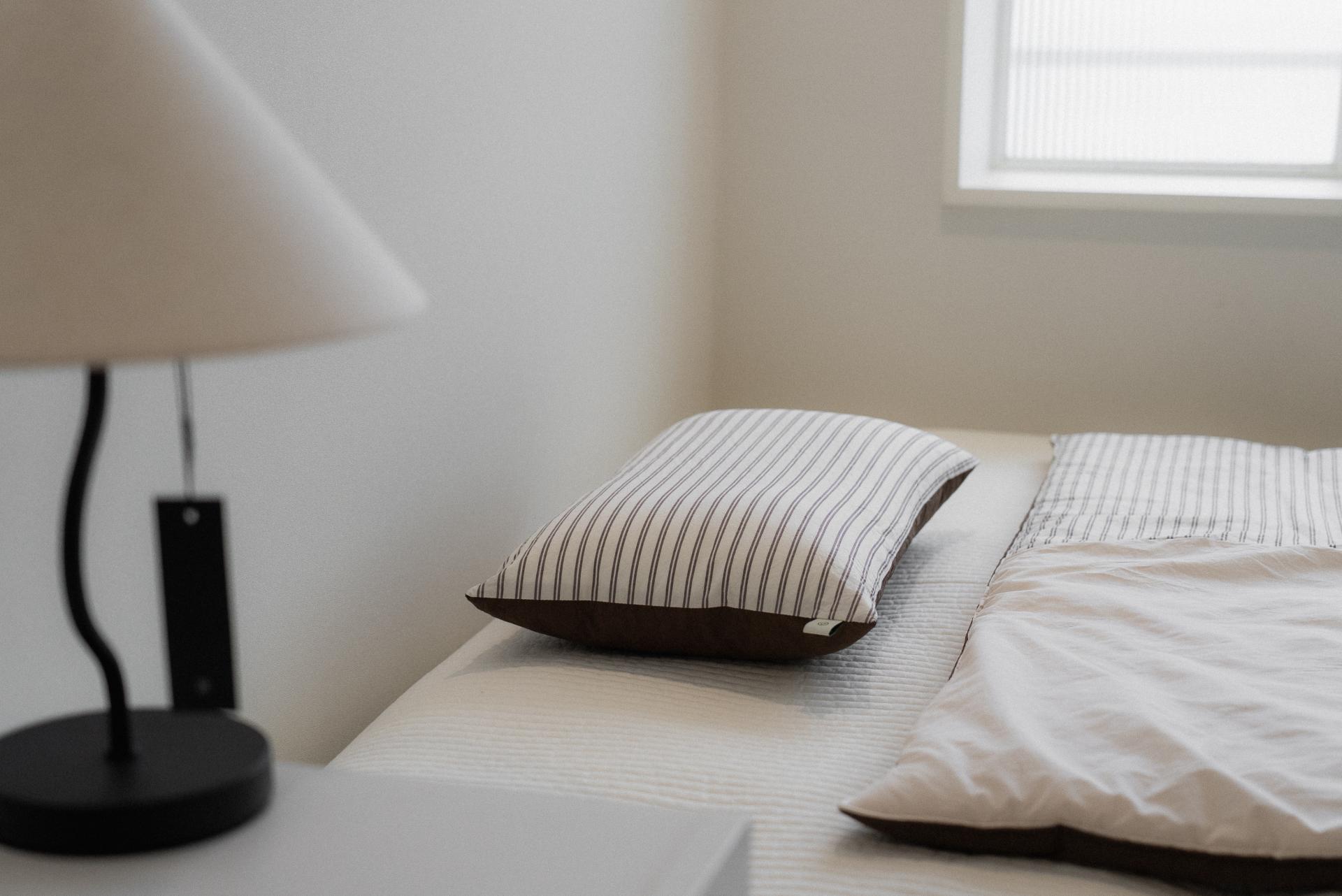 단다 밤밤 베개 커버 | dánda bambam pillow cover