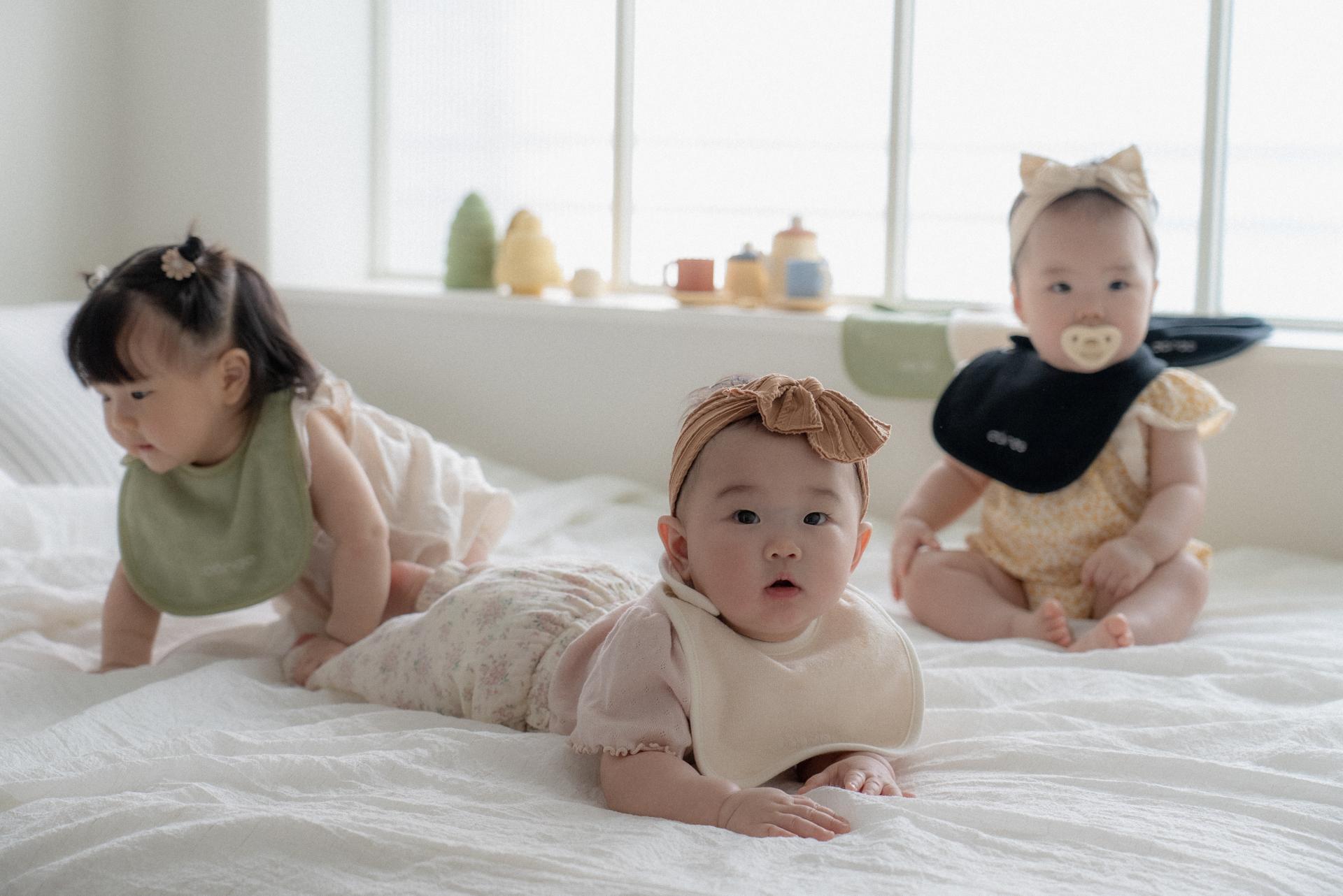 dánda terry bib 5 colors set (단다빕 단다 테리빕 5종)