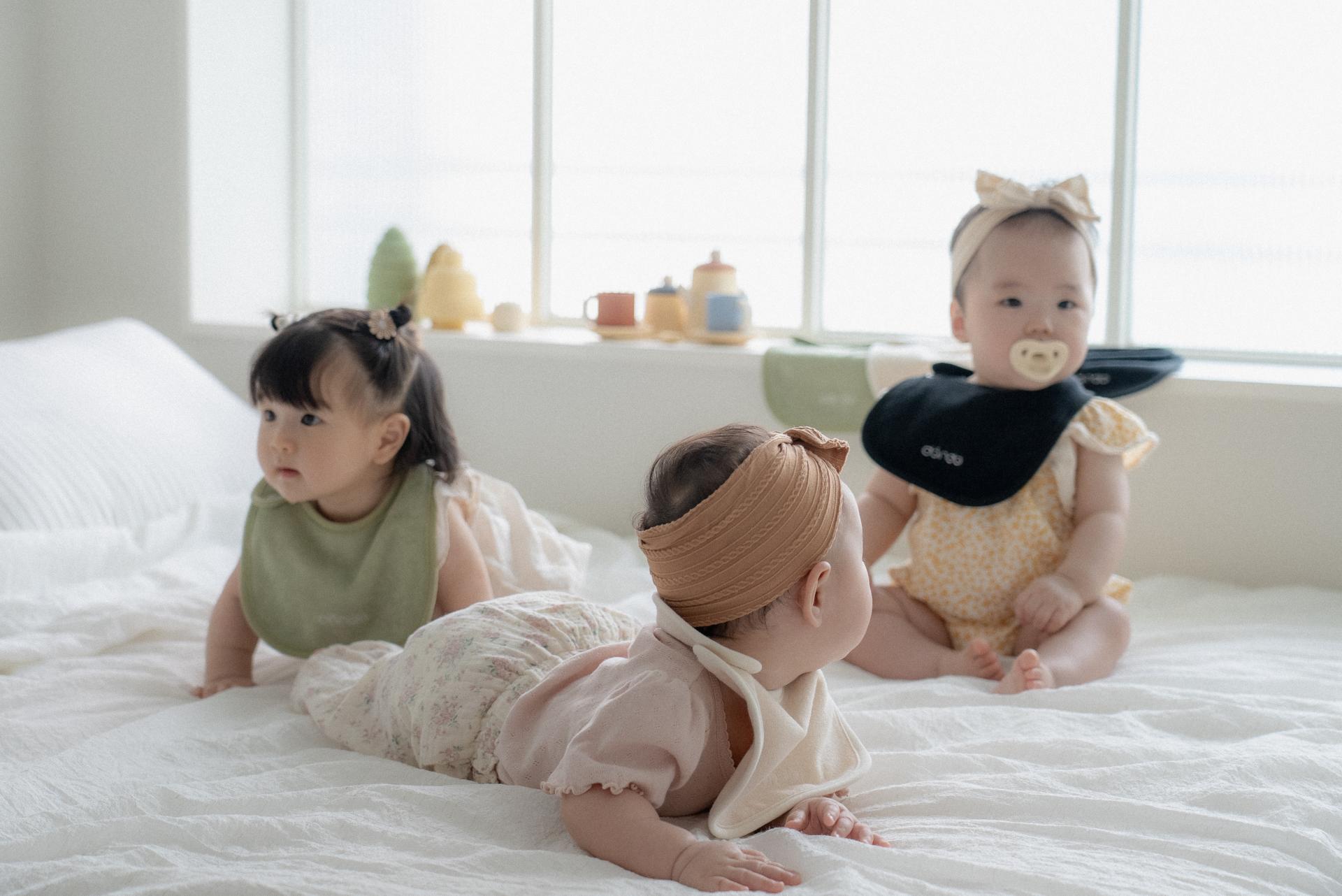 dánda terry bib 5 colors set (단다빕 단다 테리빕 5종)